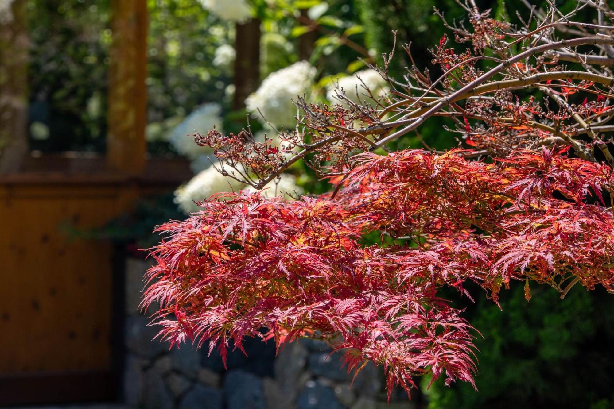 Appartementhaus Tratter ลากุนโด ภายนอก รูปภาพ
